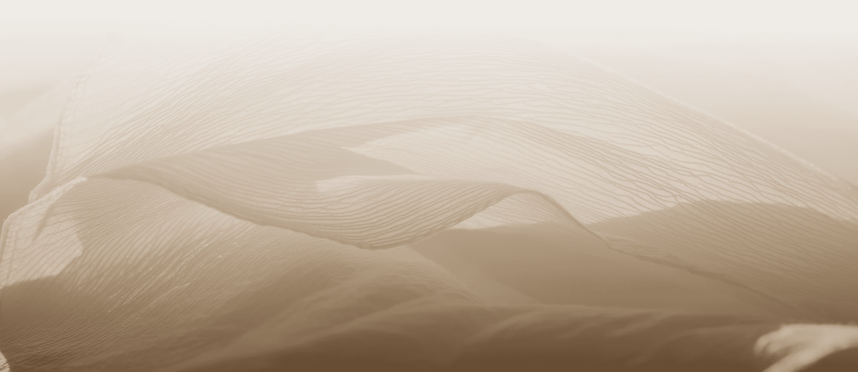 MOISE Banner Desktop