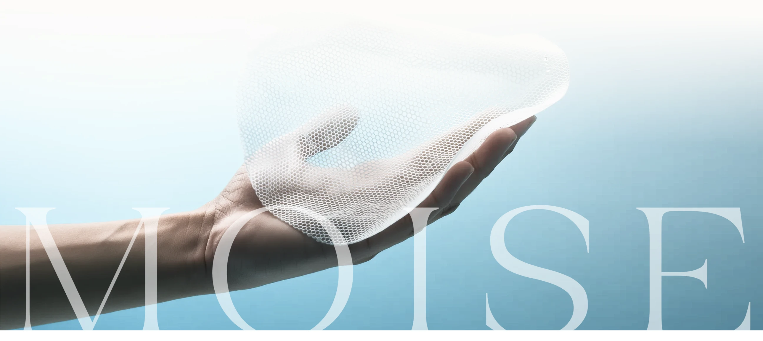 MOISE Banner Desktop