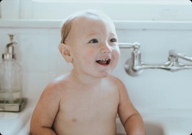 Plantaardige wasstoffen