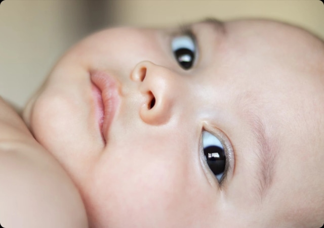 Lactobacillus Ferment