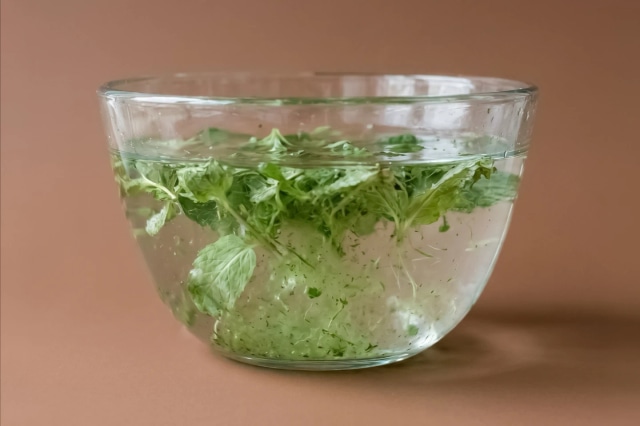 Plantaardige wasstoffen