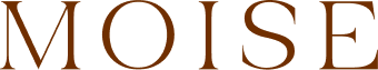 Moise logo