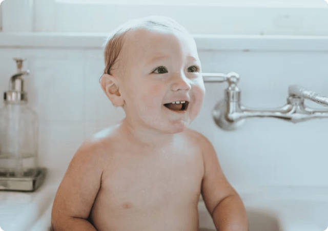 Plantaardige wasstoffen